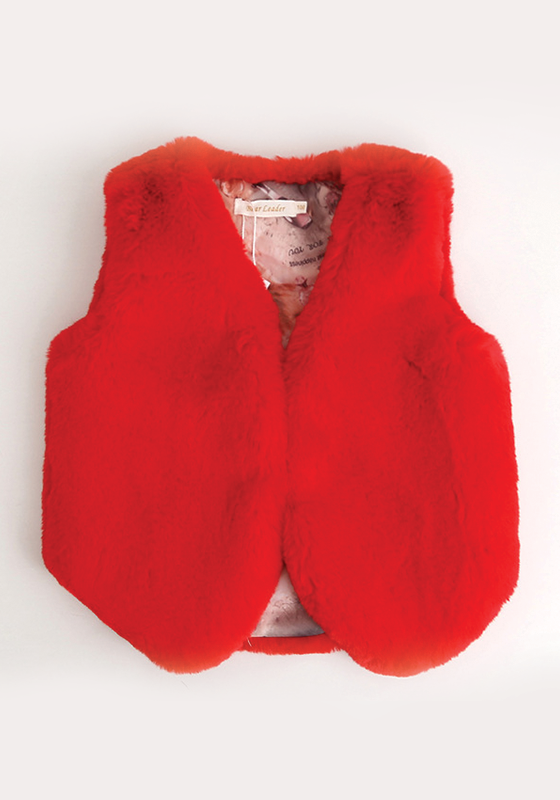 Matching Fur Vest Mother And Daughter Matching Fur Vest Mother And Daughter