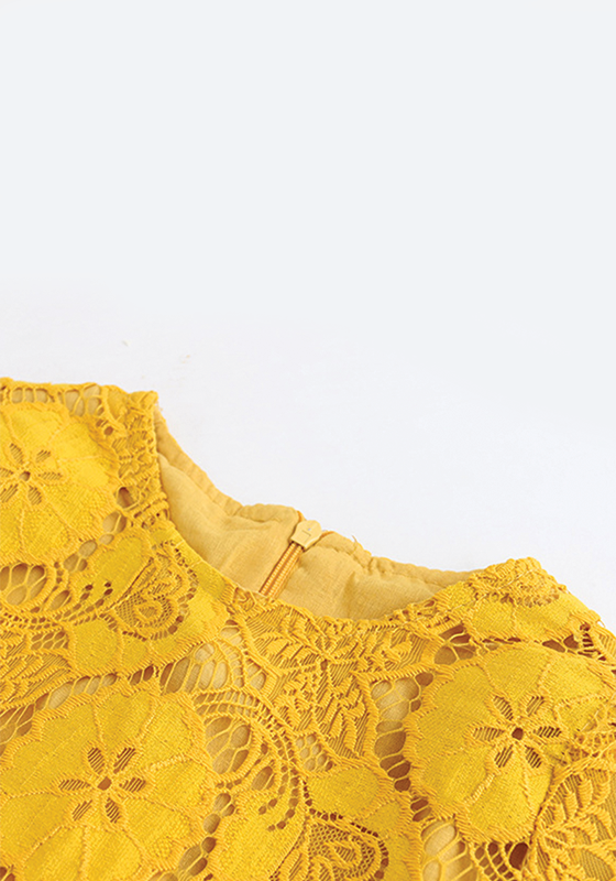 Sophisticated Lace Dress Sophisticated Lace Dress