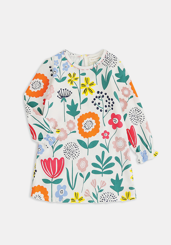 Dinosaur Dress Dinosaur Dress