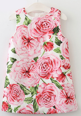 Bobo Rose Print Dress