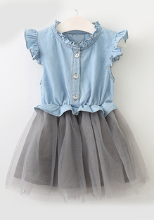 Denim Tutu Dress