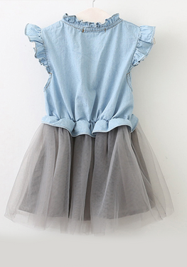 Denim Tutu Dress